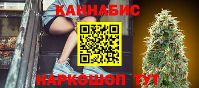 стаф Обнинск