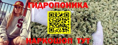 гидропоника Нягань