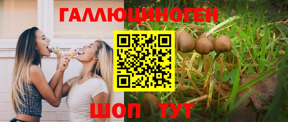 Тверь  Псилоцибиновые грибы GOLDEN TEACHER  Вход с VPN 